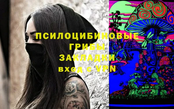 дурь Покачи