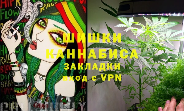 дурь Покачи