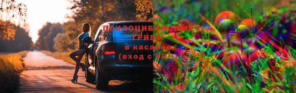 дурь Покачи